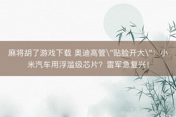麻将胡了游戏下载 奥迪高管