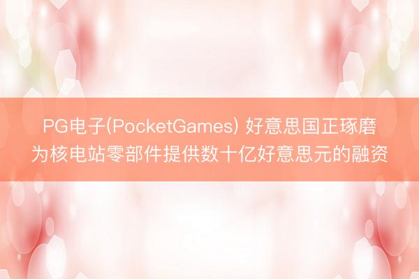 PG电子(PocketGames) 好意思国正琢磨为核电站零部件提供数十亿好意思元的融资