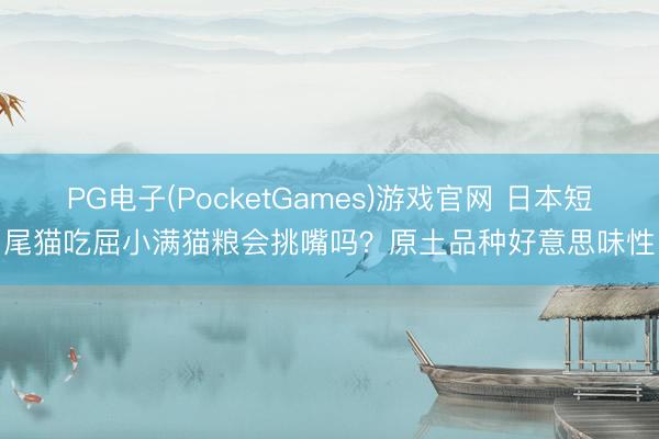 PG电子(PocketGames)游戏官网 日本短尾猫吃屈小满猫粮会挑嘴吗？原土品种好意思味性
