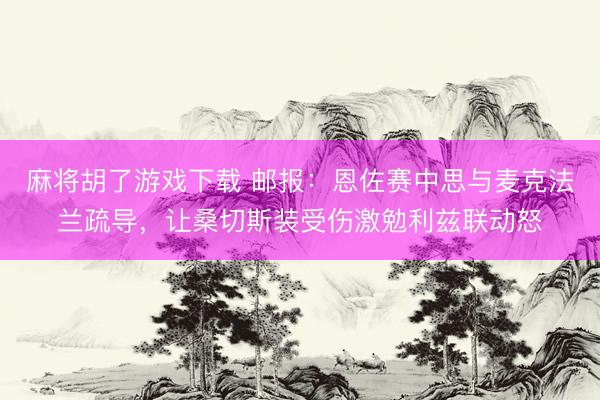 麻将胡了游戏下载 邮报：恩佐赛中思与麦克法兰疏导，让桑切斯装受伤激勉利兹联动怒
