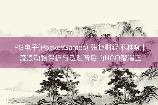 PG电子(PocketGames) 张捷财经不雅察 | 流浪动物保护与泛滥背后的NGO潜端正