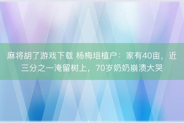 麻将胡了游戏下载 杨梅培植户：家有40亩，近三分之一淹留树上，70岁奶奶崩溃大哭
