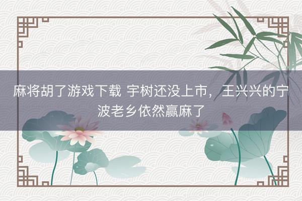 麻将胡了游戏下载 宇树还没上市，王兴兴的宁波老乡依然赢麻了