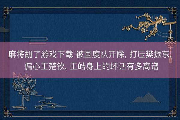 麻将胡了游戏下载 被国度队开除， 打压樊振东， 偏心王楚钦， 王皓身上的坏话有多离谱