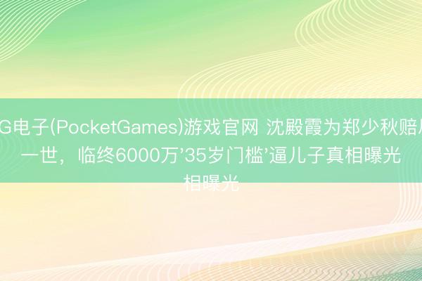 PG电子(PocketGames)游戏官网 沈殿霞为郑少秋赔尽一世，临终6000万'35岁门槛'逼儿子真相曝光